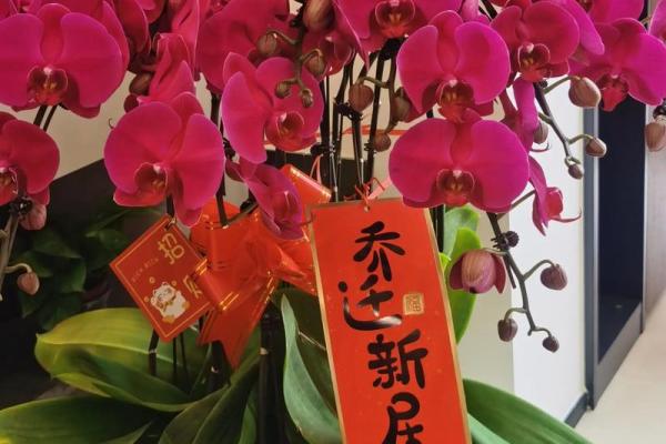 2025年9月搬家入宅最好吉日