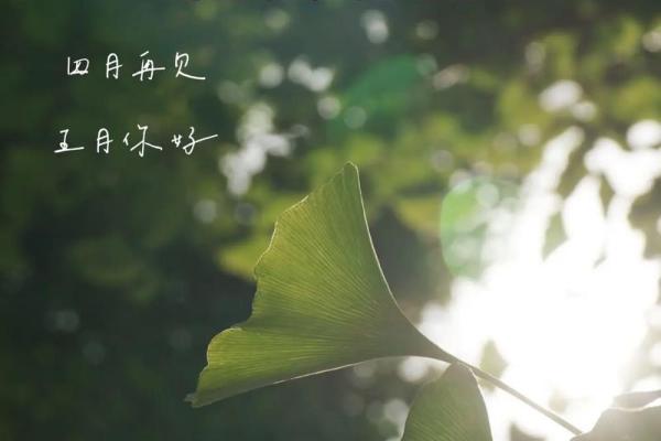 2025年农历五月哪天是适合动土的黄道吉日