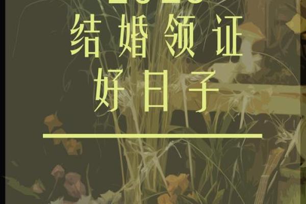 2025适合领证的日子
