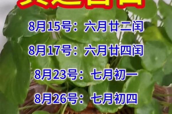 2025年9月12号是黄道吉日吗适合提车吗