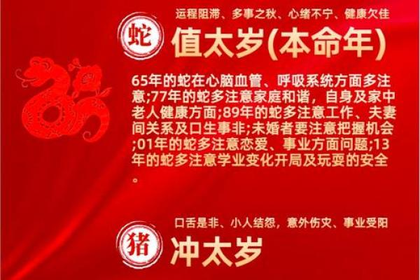 2025年10月适合新车入户的黄道吉日有哪些需要避开哪些生肖 2025年10月适合新车入户的黄道吉日有哪些需要避开哪些生肖