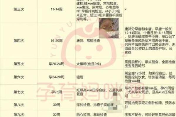 2025年10月预产期如何科学安排孕前三个月调理计划